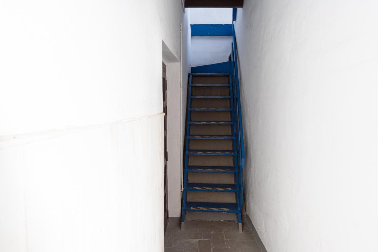 Apartment La Gitanilla Terrace Cádiz Eksteriør billede